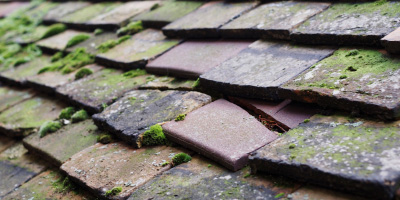 Gestingthorpe roof repair costs